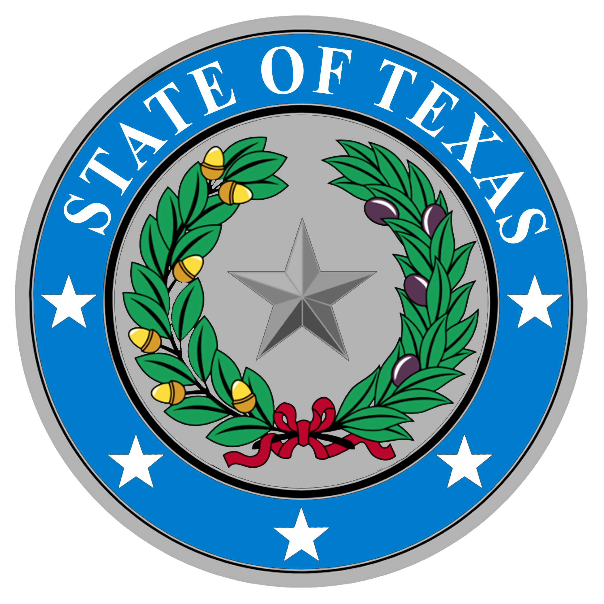 Texas Government